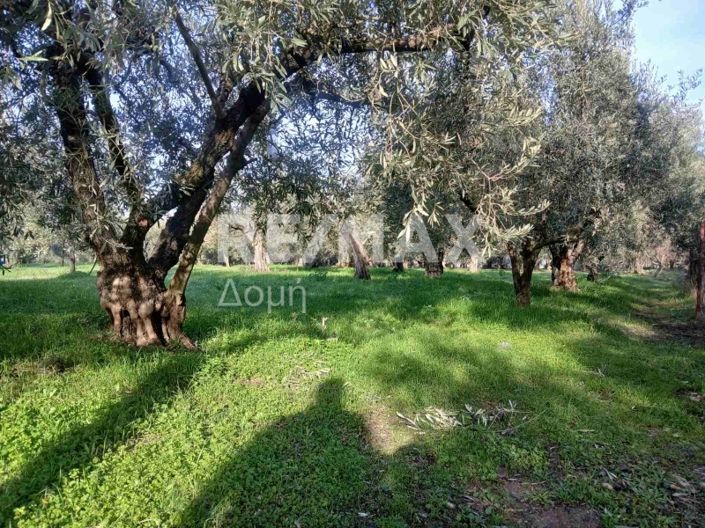 Image No.13-Property for sale