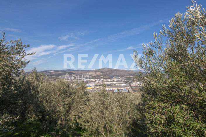 Image No.13-Propriété à vendre à Magnésie