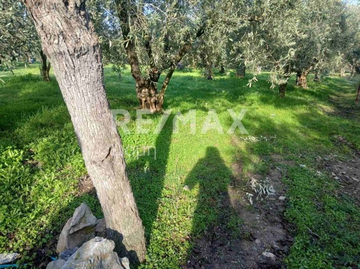 Image No.15-Property for sale