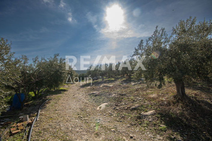 Image No.16-Propriété à vendre à Magnésie