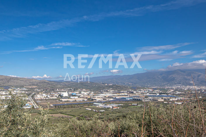 Image No.19-Propriété à vendre à Magnésie