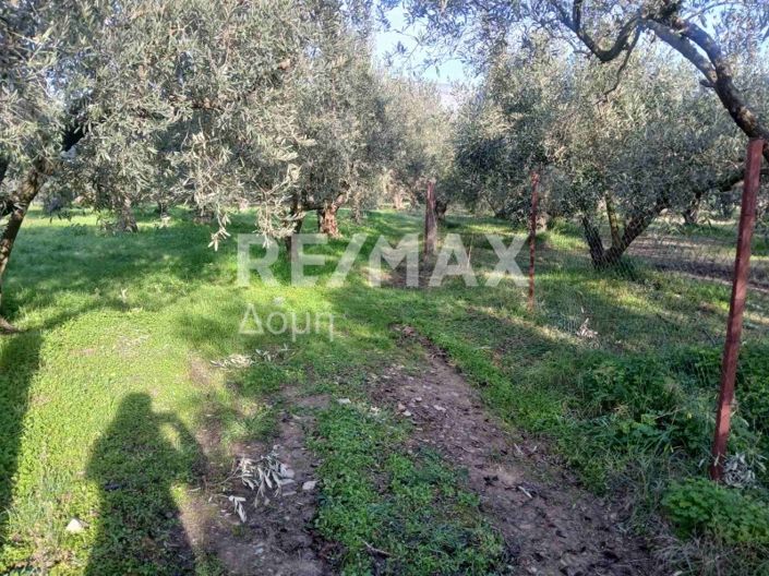 Image No.2-Property for sale