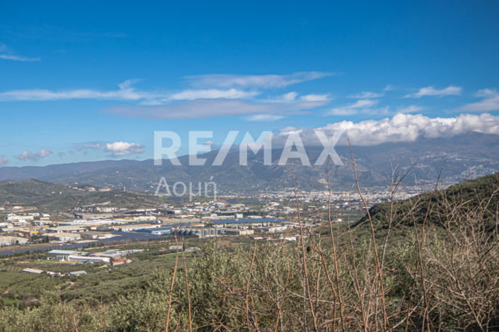 Image No.21-Propriété à vendre à Magnésie