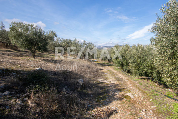 Image No.23-Propriété à vendre à Magnésie