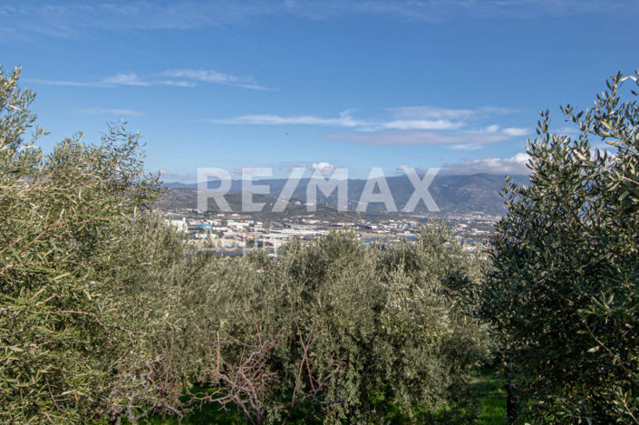 Image No.24-Propriété à vendre à Magnésie