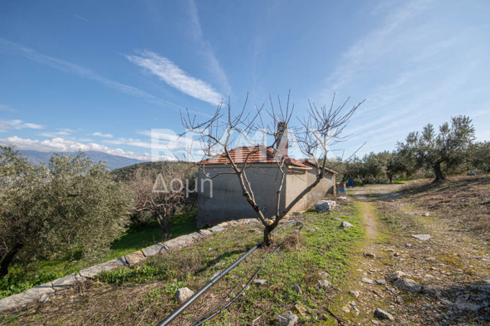 Image No.26-Propriété à vendre à Magnésie