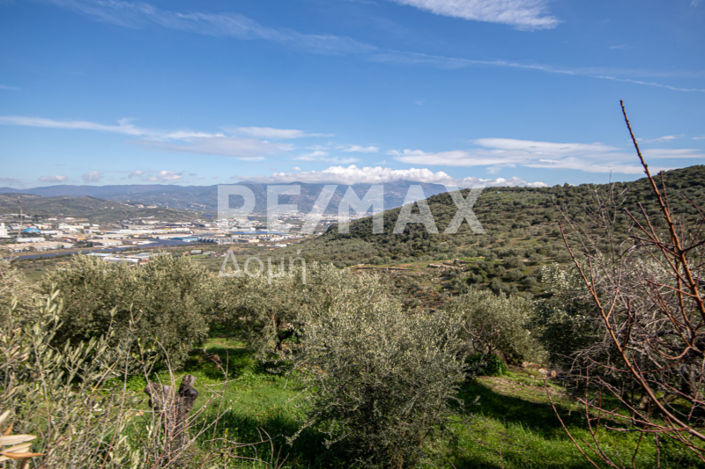 Image No.3-Propriété à vendre à Magnésie