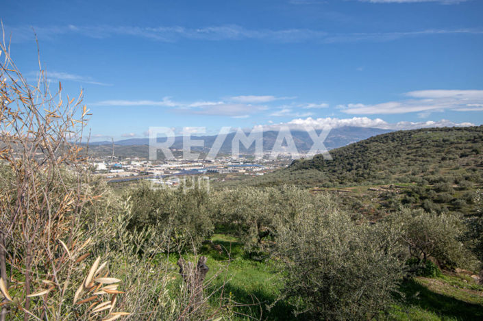 Image No.4-Propriété à vendre à Magnésie