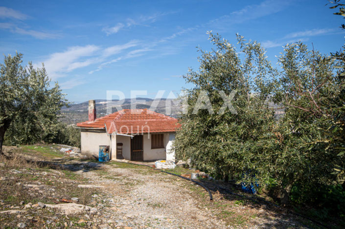 Image No.6-Propriété à vendre à Magnésie