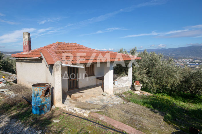 Image No.7-Propriété à vendre à Magnésie