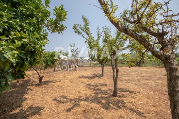 Image No.19-1 Bed House for sale