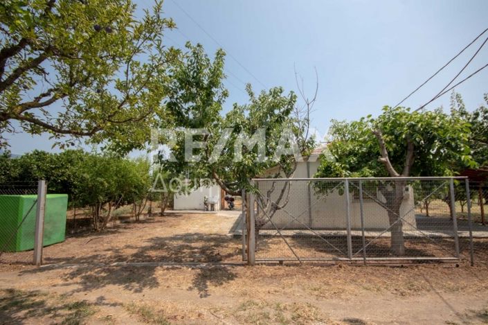 Image No.2-1 Bed House for sale