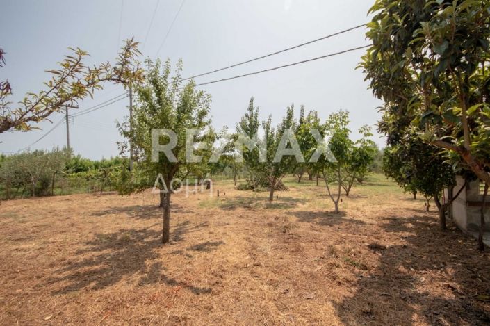 Image No.20-1 Bed House for sale