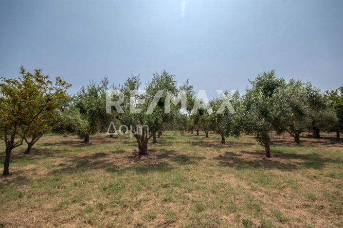 Image No.21-1 Bed House for sale