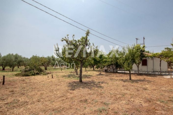 Image No.22-1 Bed House for sale