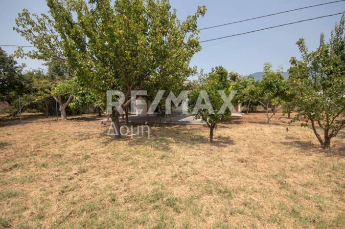 Image No.23-1 Bed House for sale