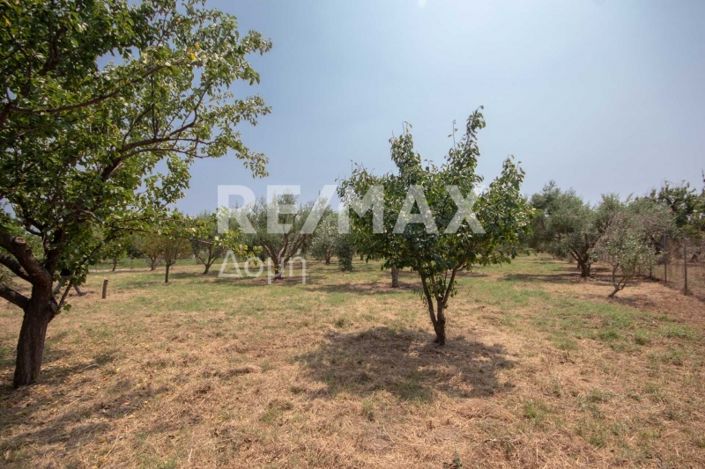 Image No.24-1 Bed House for sale