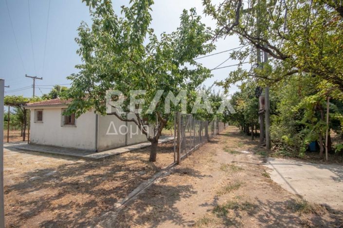 Image No.3-1 Bed House for sale