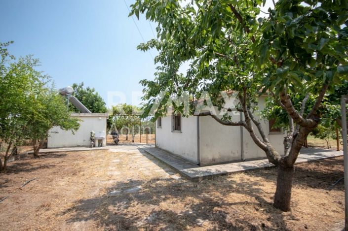 Image No.4-1 Bed House for sale