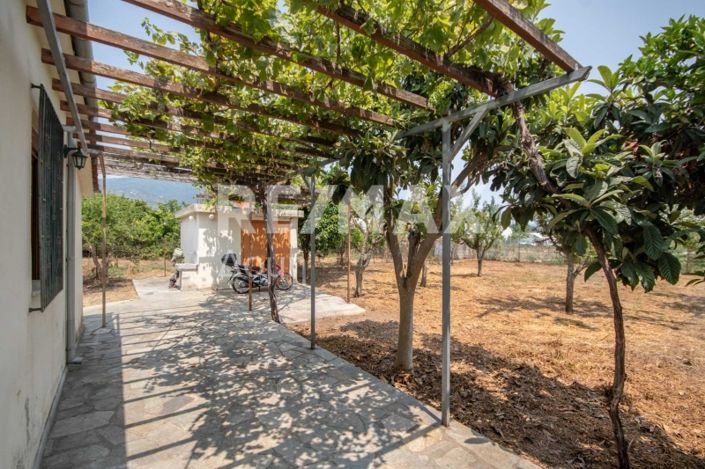 Image No.8-1 Bed House for sale