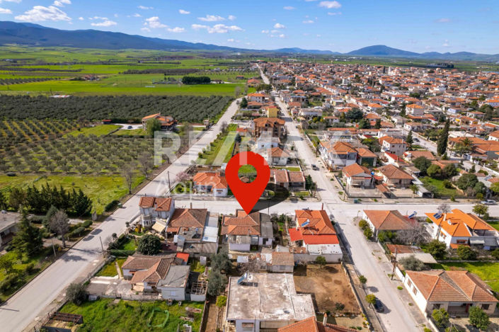 Image No.35-Maison de 2 chambres à vendre à Magnésie