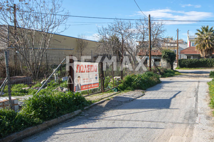 Image No.15-Terre à vendre à Magnésie