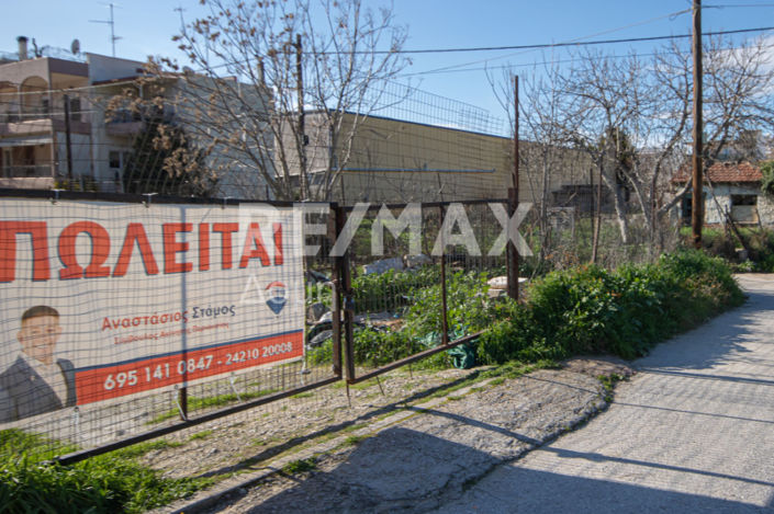 Image No.5-Terre à vendre à Magnésie