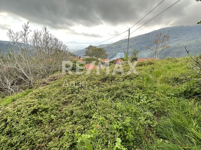 Image No.14-Propriété à vendre à Magnésie