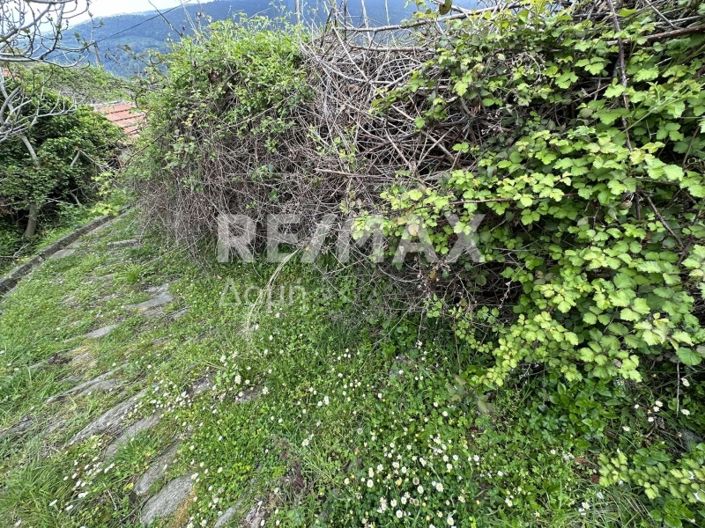 Image No.18-Propriété à vendre à Magnésie