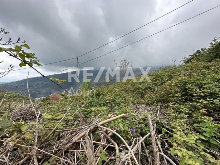 Image No.19-Propriété à vendre à Magnésie