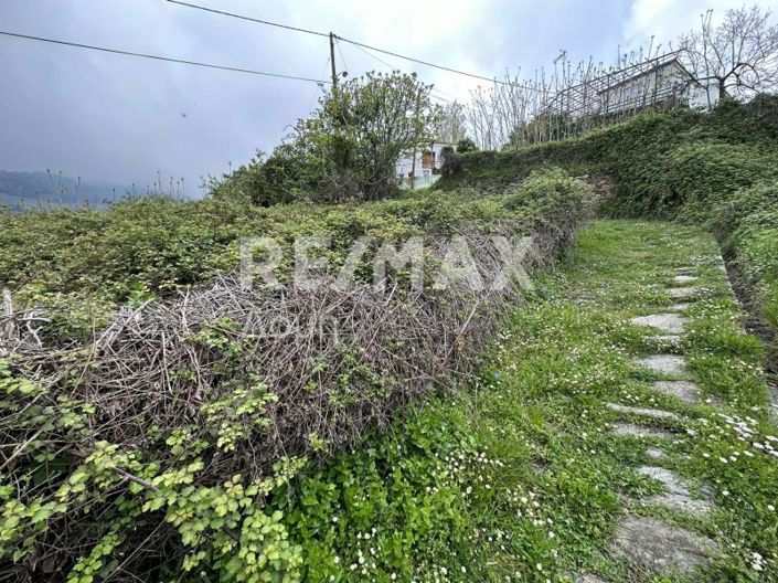 Image No.5-Propriété à vendre à Magnésie