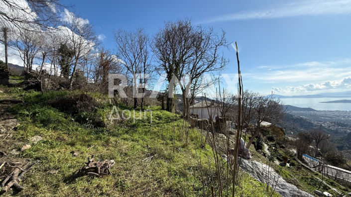 Image No.11-Land for sale