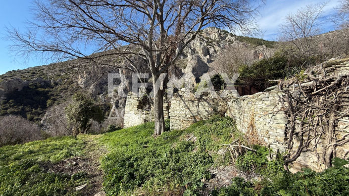 Image No.2-Land for sale