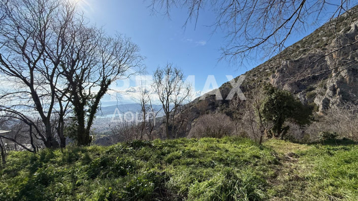 Image No.4-Land for sale