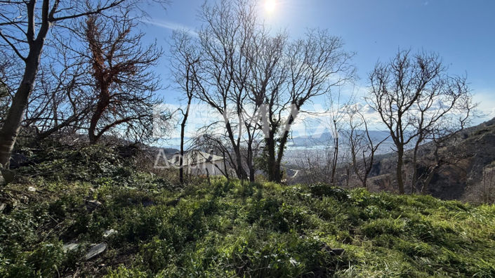 Image No.5-Land for sale