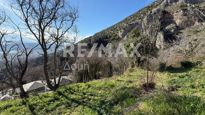 Image No.8-Land for sale