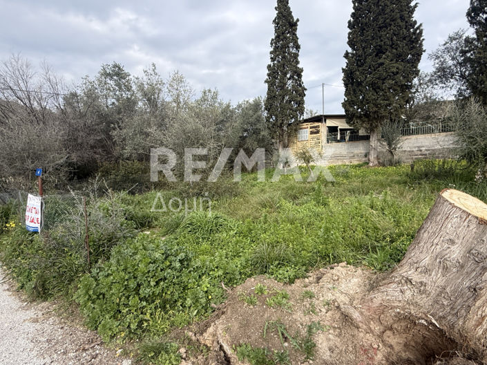 Image No.4-Land for sale