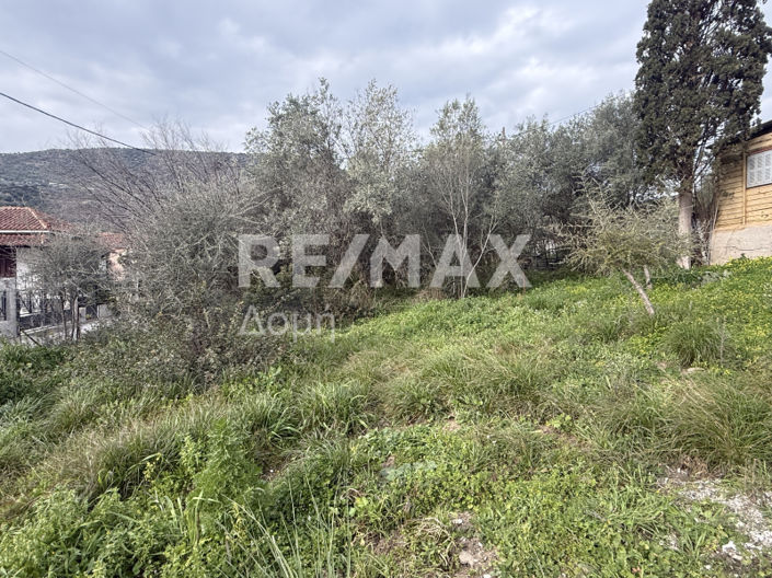 Image No.5-Land for sale