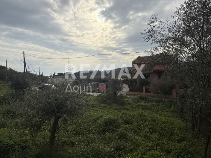 Image No.7-Land for sale