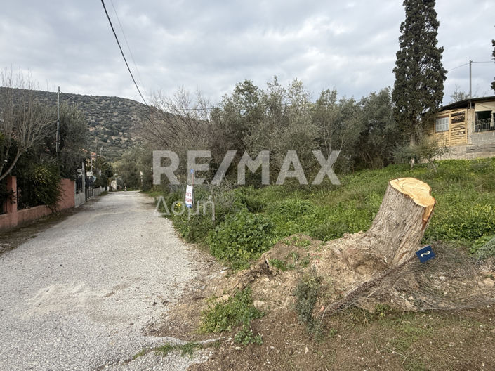 Image No.9-Land for sale