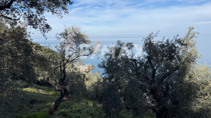 Image No.13-Property for sale