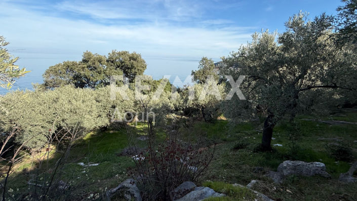 Image No.28-Property for sale