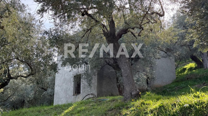 Image No.4-Property for sale