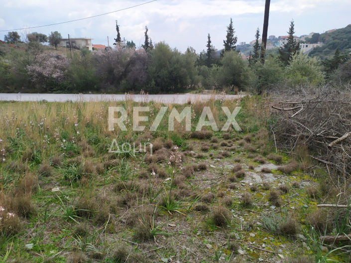 Image No.4-Land for sale