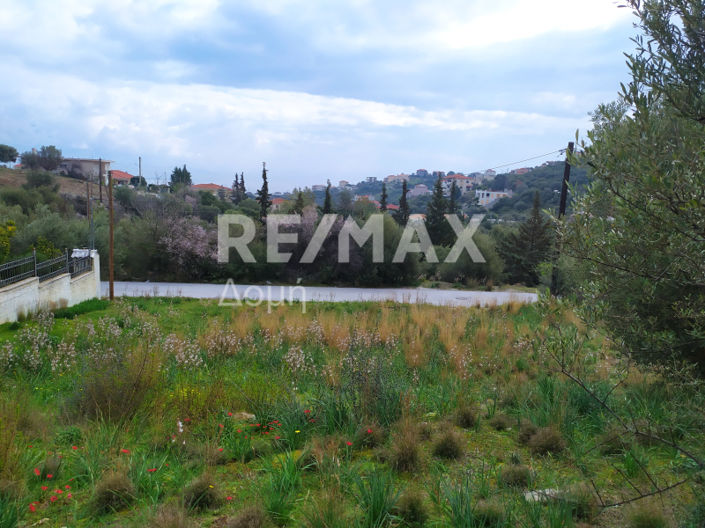 Image No.5-Land for sale