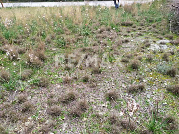 Image No.7-Land for sale