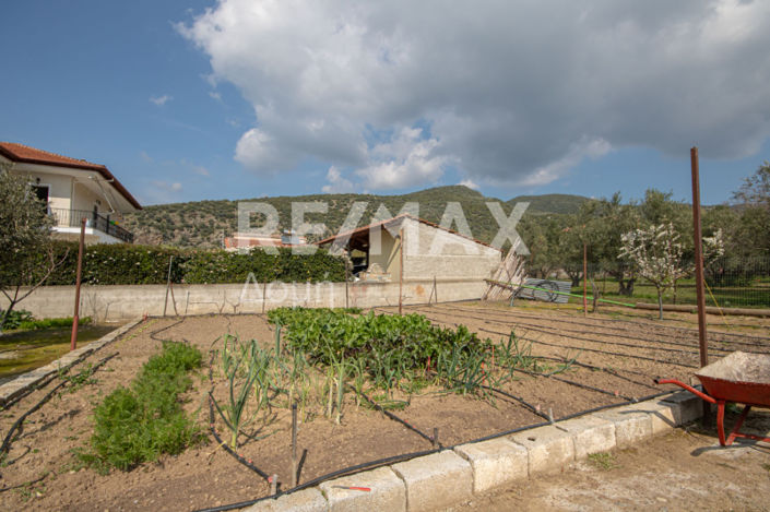 Image No.40-Maison de 3 chambres à vendre à Kalamaki