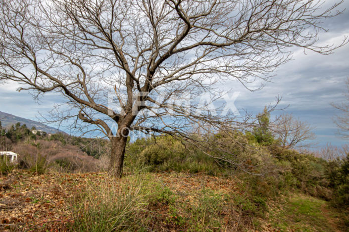 Image No.15-Property for sale