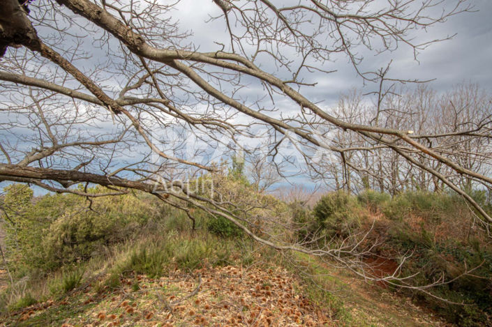 Image No.17-Property for sale