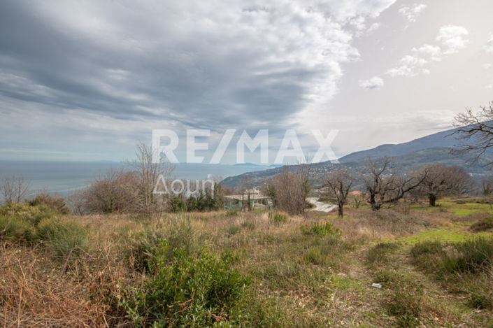 Image No.25-Property for sale